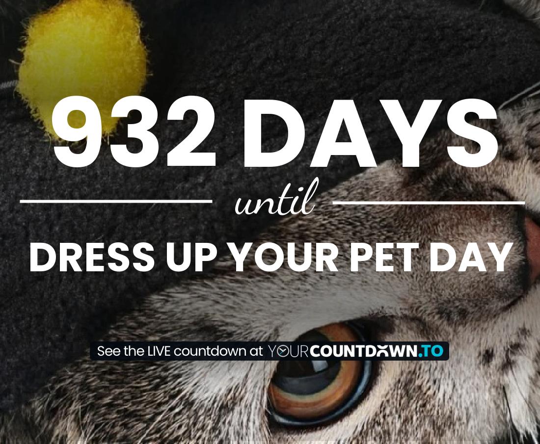 Countdown to Dress Up Your Pet Day