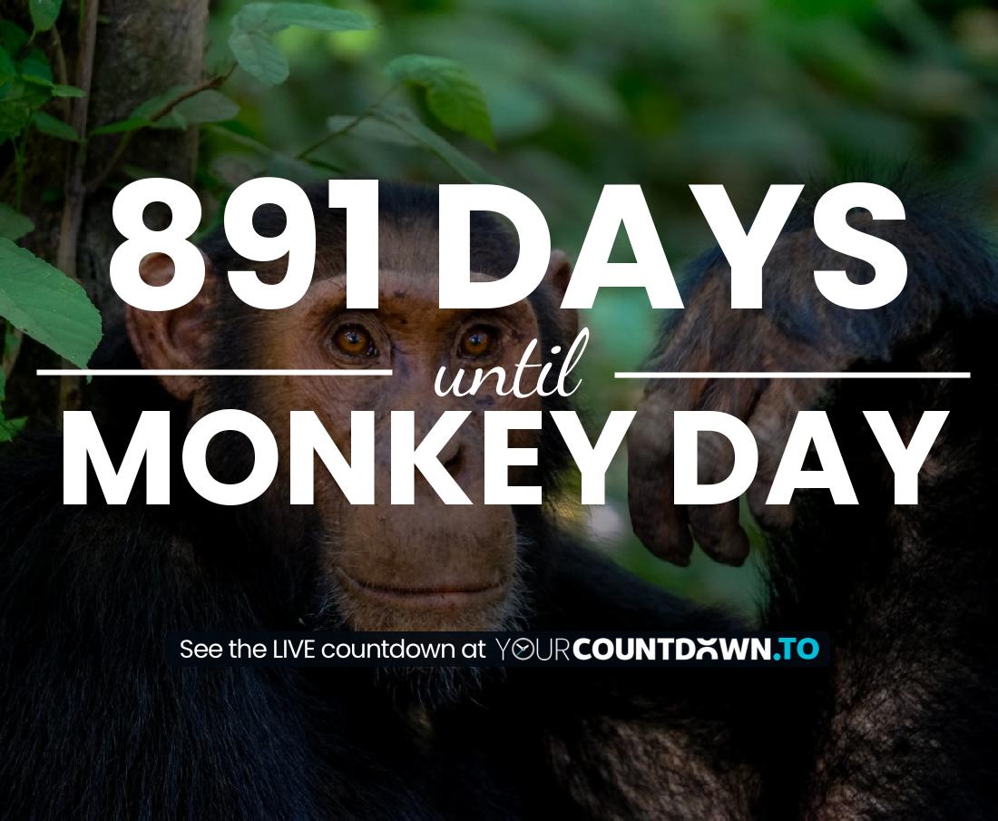Countdown to Monkey Day