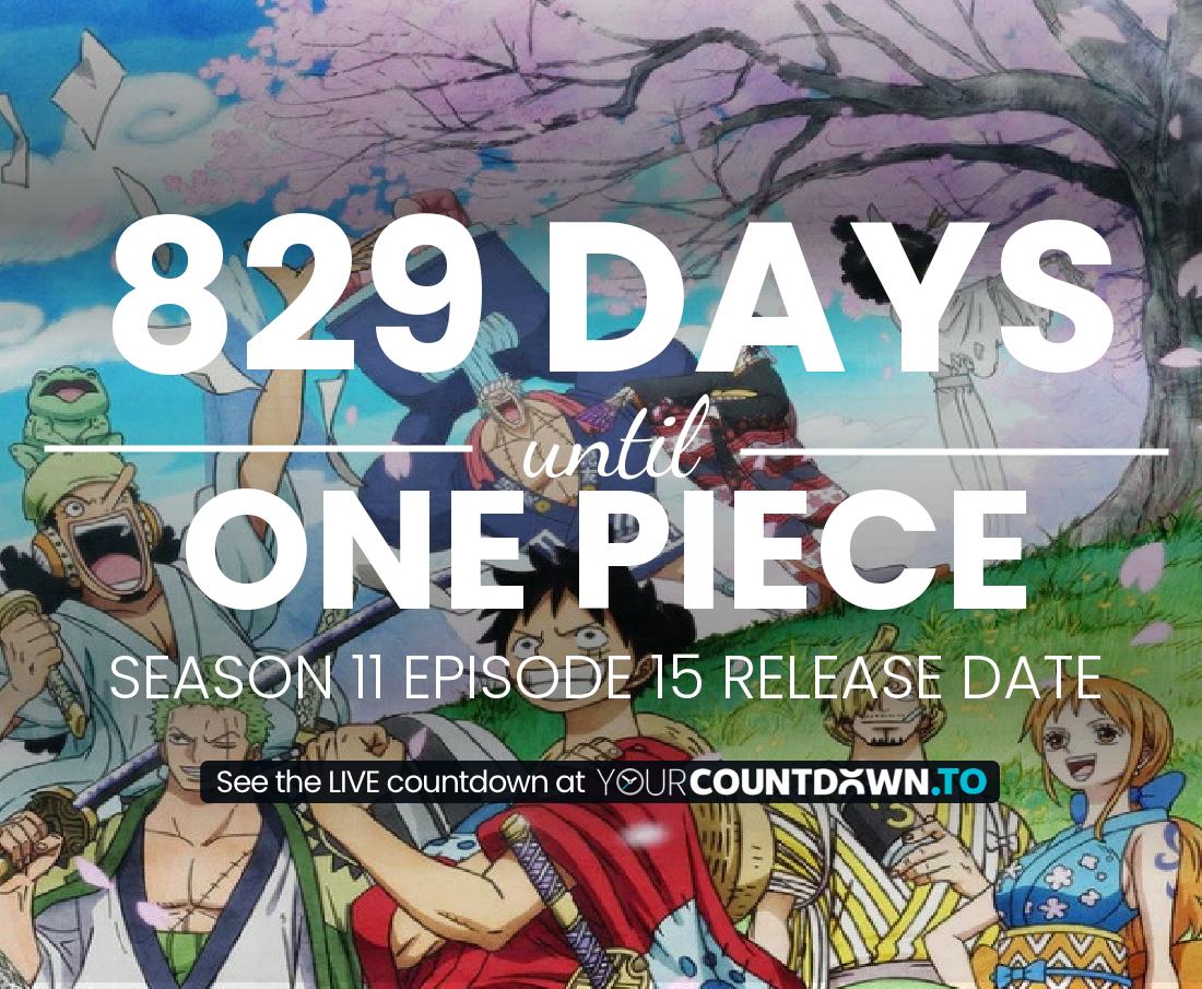 Countdown to One Piece Season 10 Episode 119