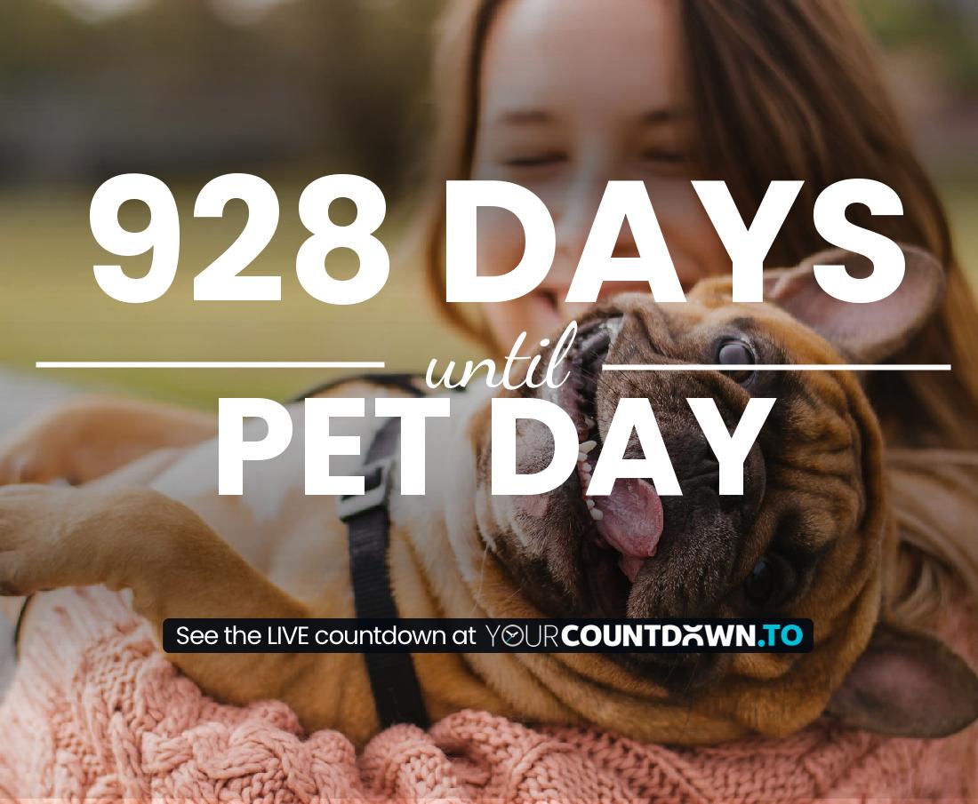 Countdown to Pet Day