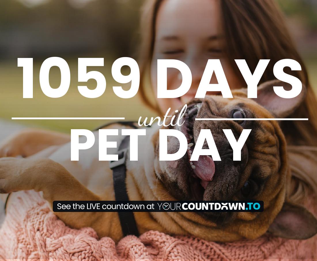 Countdown to Pet Day
