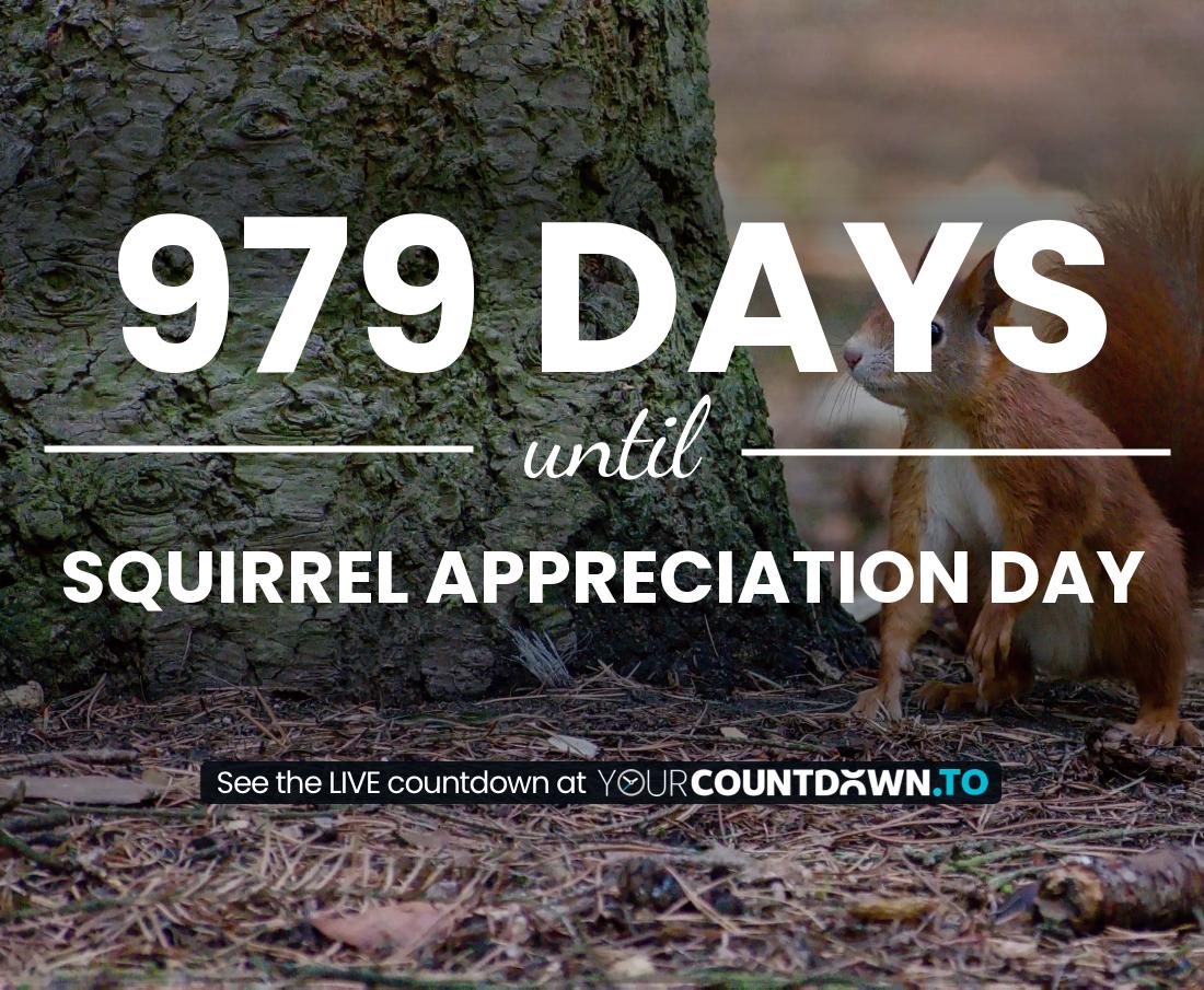 Countdown to Squirrel Appreciation Day