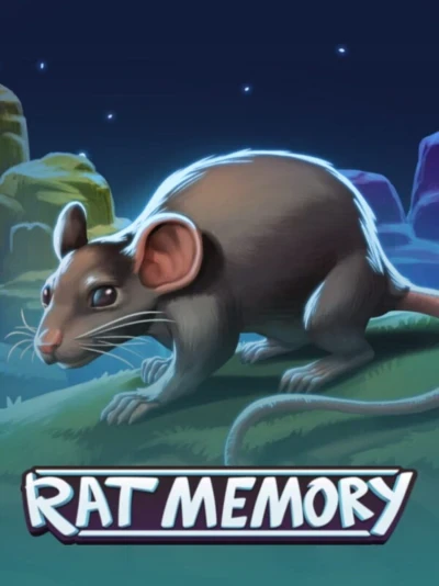 Rat Memory
