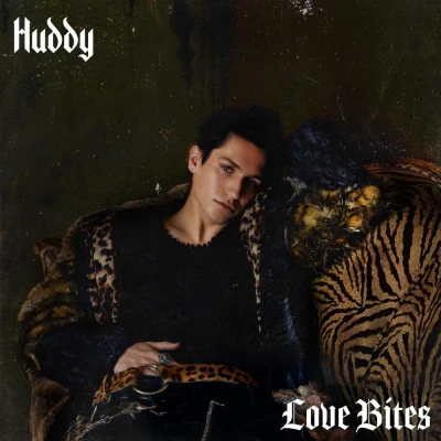 Huddy - Love Bites