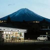 B-Dizzy - The Oregon Organ Market