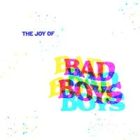 Bad Boys - The Joy of Bad Boys