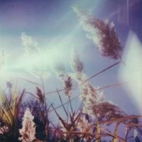 Benoît Pioulard - Stanza IV