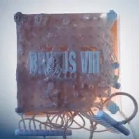 Brutus VIII - Do It For The Money