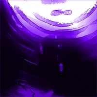 BULA! - ØMO