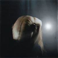 daine - i want the light to swallow me whole