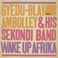 Gyedu-Blay Ambolley - Wake Up Afrika