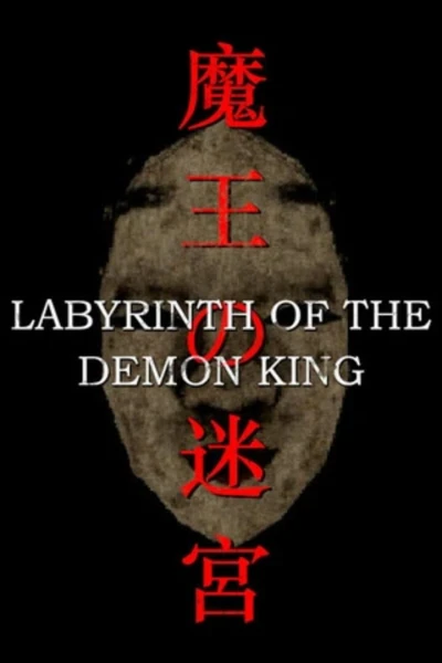 Labyrinth of The Demon King