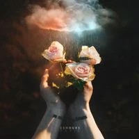 Liaze - NO RAIN NO FLOWERS