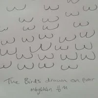 m4y4h4n - The Birds Drawn on Paper