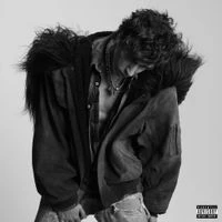 nate sib - for us