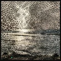Shorewood - corkwood