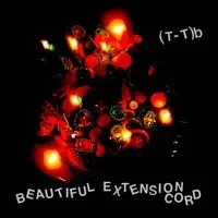 (T-T)b - Beautiful Extension Cord