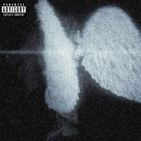 YXU - What Wings?