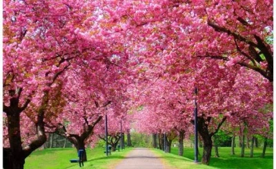 Spring