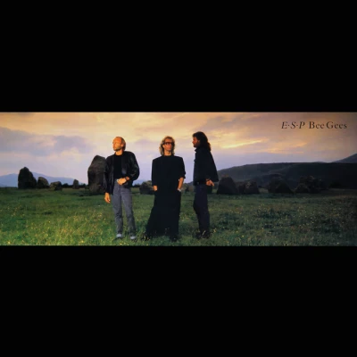 Bee Gees - You Win Again