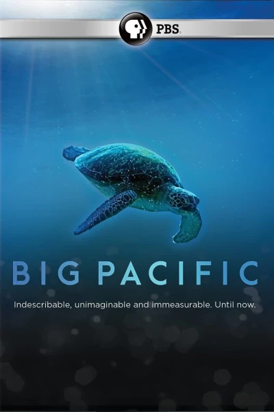 Big Pacific