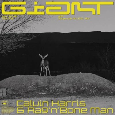 Calvin Harris - Giant (with Rag'n'Bone Man)