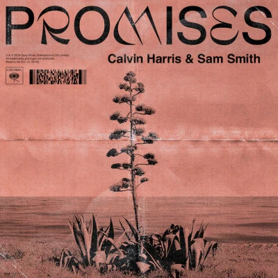 Calvin Harris - Promises (with Sam Smith)