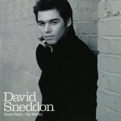 David Sneddon - Stop Living The Lie