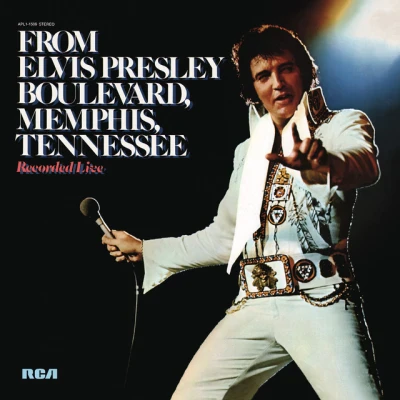 Elvis Presley - I'll Never Fall In Love Again