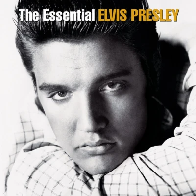 Elvis Presley - The Wonder of You