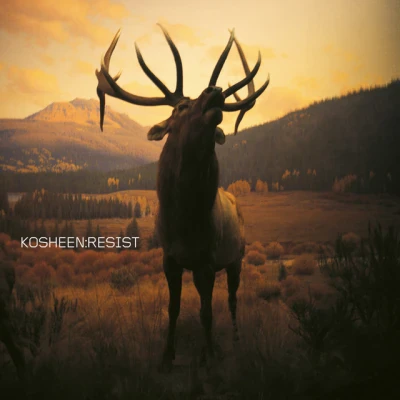 Kosheen - Hide U - 2021 Remaster