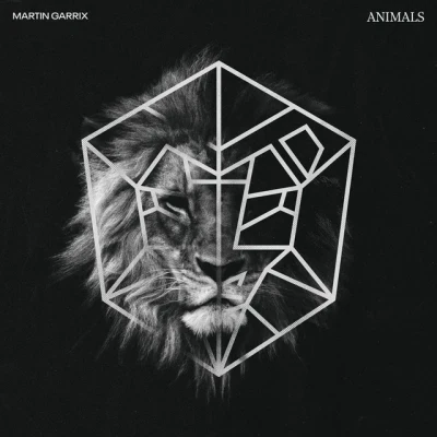 Martin Garrix - Animals - Radio Edit