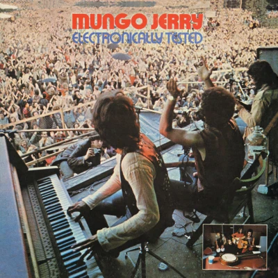 Mungo Jerry - In the Summertime