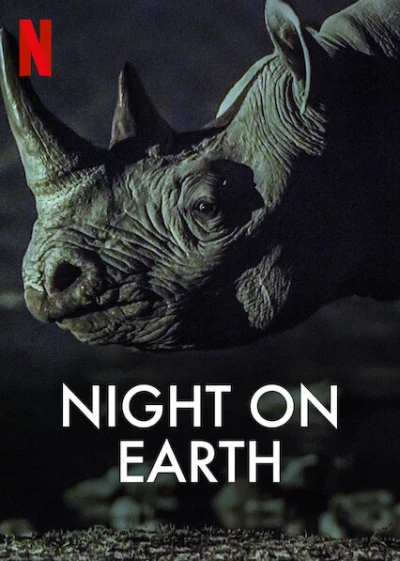 Night on Earth