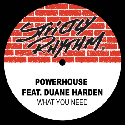 Powerhouse - What You Need (feat. Duane Harden) (Full Intention Radio Edit)