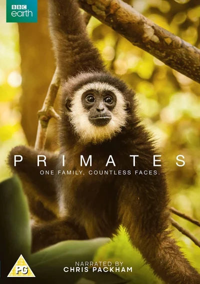 Primates