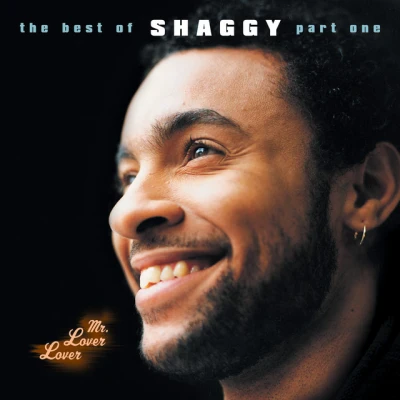 Shaggy - Boombastic