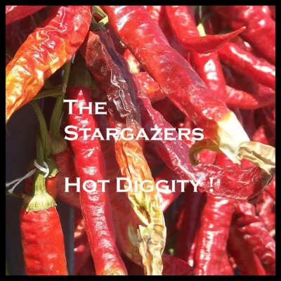 Stargazers - Broken Wings