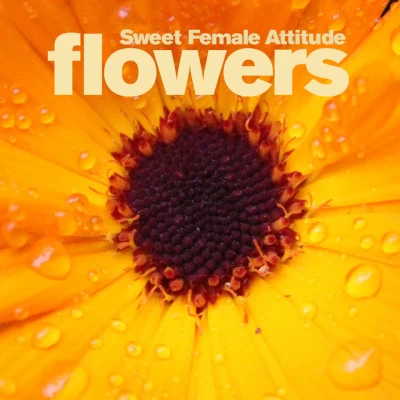 Sweet Female Attitude - Flowers - Sunship Radio Edit