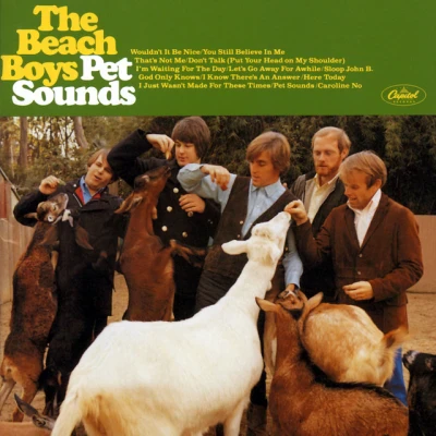 The Beach Boys - Wouldn't It Be Nice - Mono