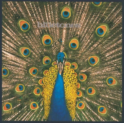 The Bluetones - Slight Return