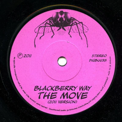 The Move - Blackberry Way - Roy Wood 2011 Remix