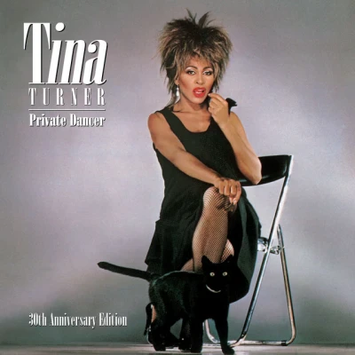 Tina Turner - What's Love Got to Do with It - 2015 Remaster