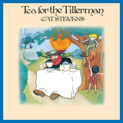 Yusuf / Cat Stevens - Wild World