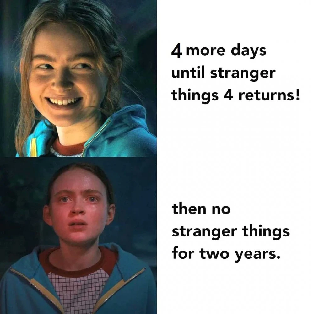 Memes from Stranger Things part 2